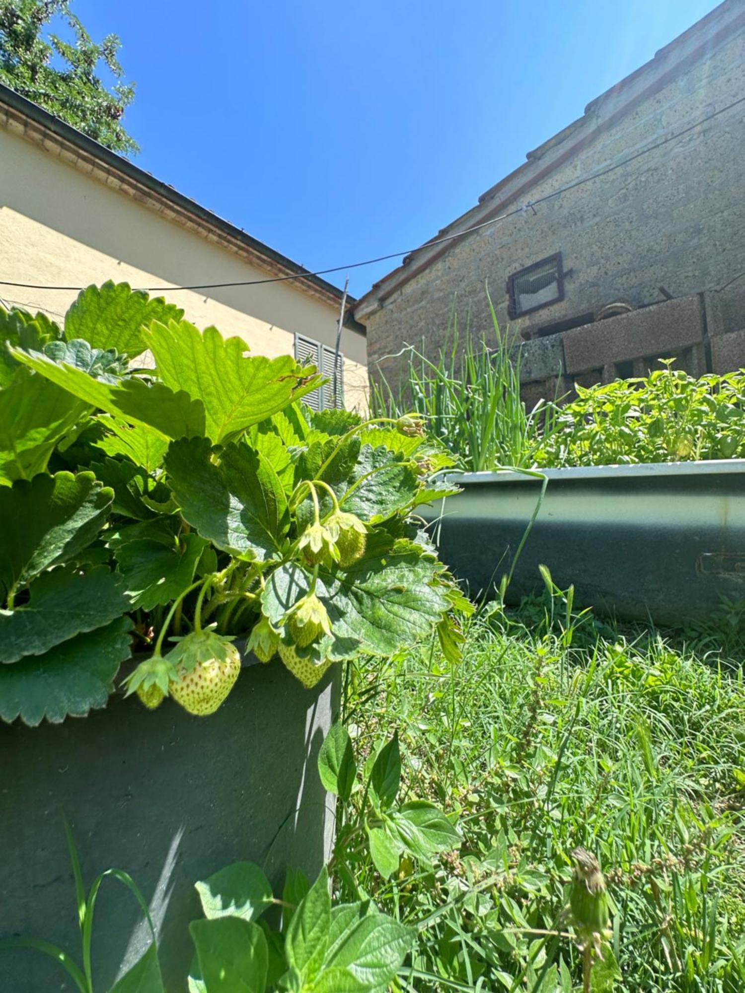 agriturismo san biagio Villa Montepulciano Stazione Exterior foto